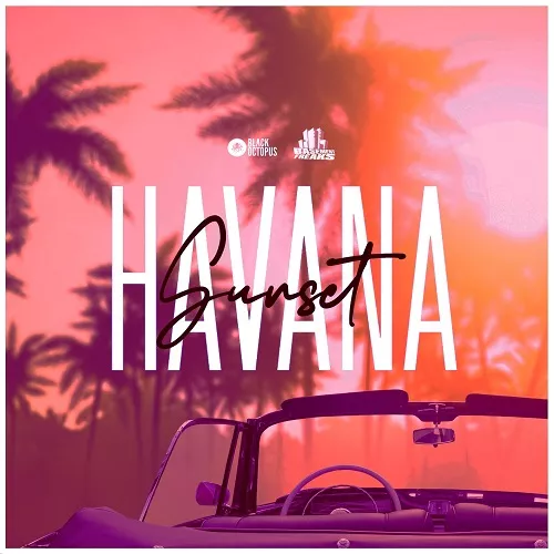 Download Basement Freaks Presents Havana Sunset WAV - Sample Drive